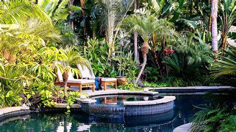 Ideas for a Tropical Garden - Sunset Magazine