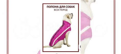 Попона для крупных собак купить в Мытищах | Животные и зоотовары | Авито