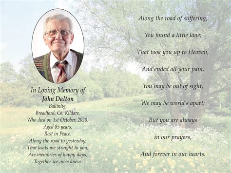 Wildfield - A Lasting Memory