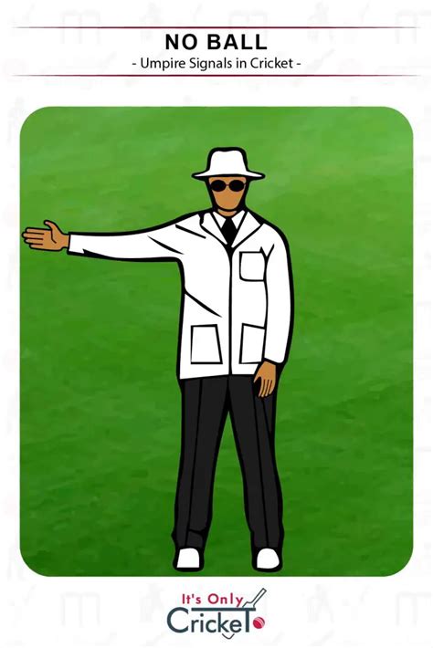 Cricket Umpire Signals: What They Mean Illustrated with Images