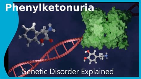 What Is Phenylketonuria Youtube