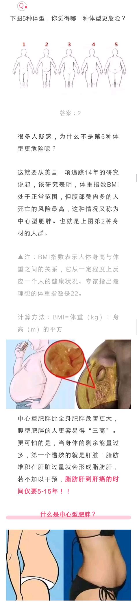 肚子越大，寿命越短？