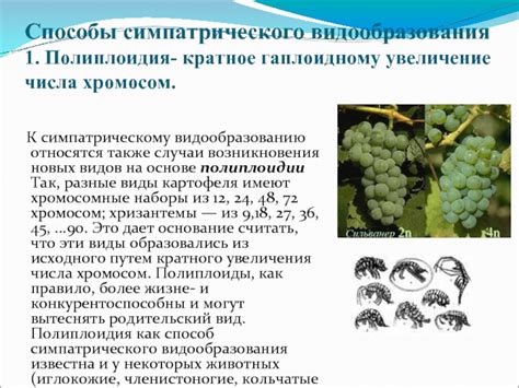Микроэволюция. Видообразоваание