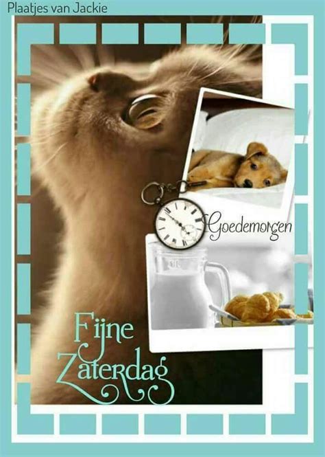 Fijne zaterdag met leuke plaatjes van Jackie 