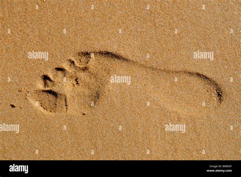 Footprint In The Sand Right Foot On The Beach At Benidorm Costa