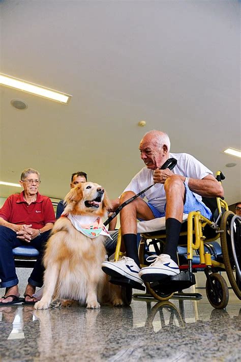 Projeto Da Ufg De Terapia Assistida Por Animais Visita O Crer Evz