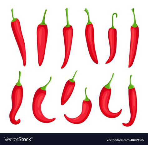 Chili Peppers Cartoon Spicy Hot Red Pepper Vector Image