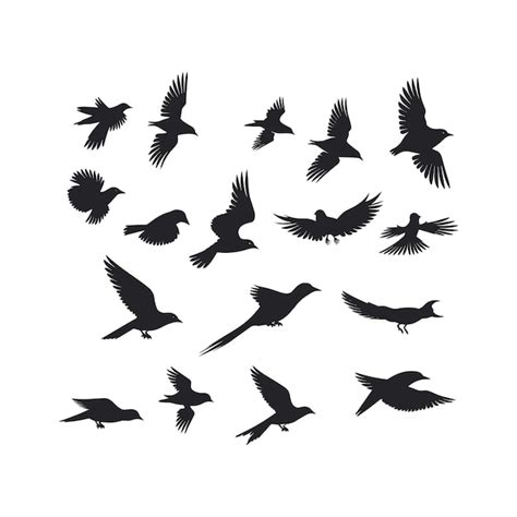 Des Oiseaux Volants En Silhouette Vecteur Premium