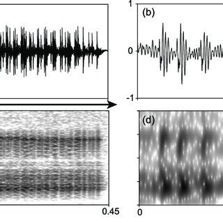 -Waveforms (a and b) and spectrograms (c and d) showing temporal and ... 