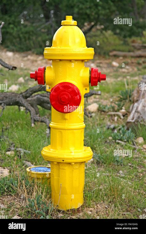 Yellow Fire Plug Hi Res Stock Photography And Images Alamy