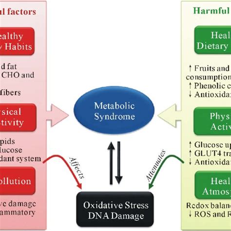 PDF Metabolic Syndrome And DNA Damage The Interplay Of Environmental