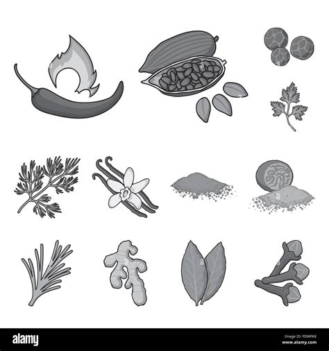 Herb And Spices Monochrome Icons In Set Collection For Designdifferent