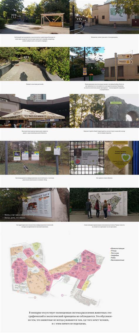 The making of the Moscow Zoo wayfinding