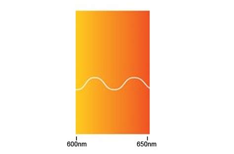 What Is Orange Light Gophotonics