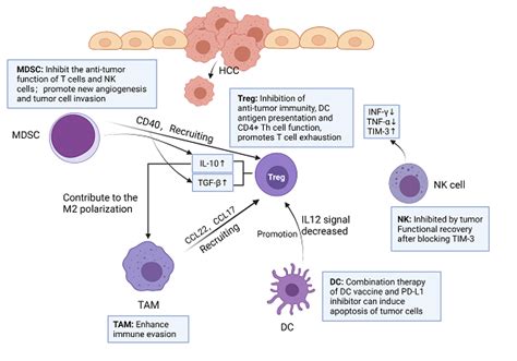 New Insights Into Checkpoint Inhibitor Immunotherapy And Its Combined