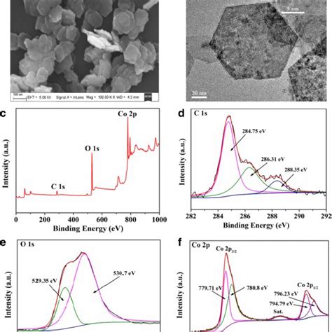 A SEM Image And B TEM Image Of Synthesized CoOOH Nanoflakes C XPS