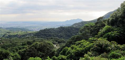 Yangmingshan National Park | Life of Taiwan