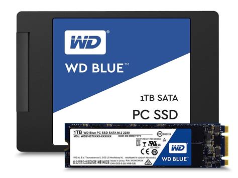 Western Digital Announces the WD Blue and WD Green Consumer SSDs ...
