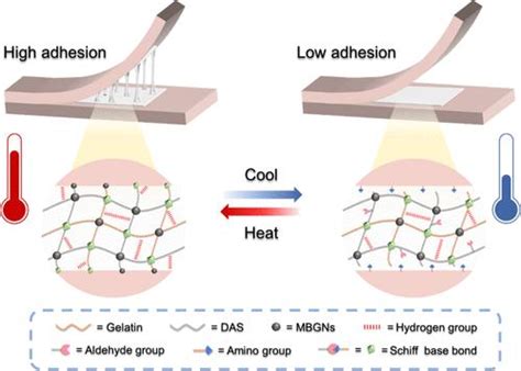 Strong Biopolymer Based Nanocomposite Hydrogel Adhesives With