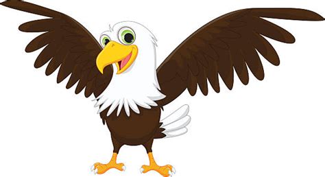 cartoon eagle clipart 20 free Cliparts | Download images on Clipground 2024