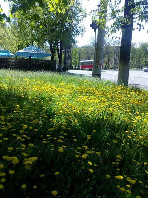 Киев. Теплынь | Пикабу