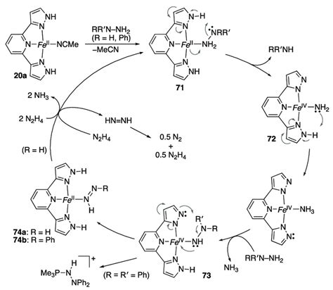 Scheme 21 Proposed Mechanism For Catalytic Disproportionation Of