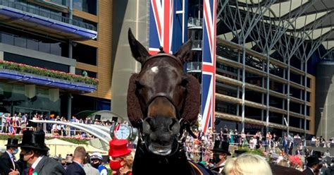 【総合評価 】競馬場探訪：英 アスコット競馬場／ascot Racecourse｜小和田 逸平