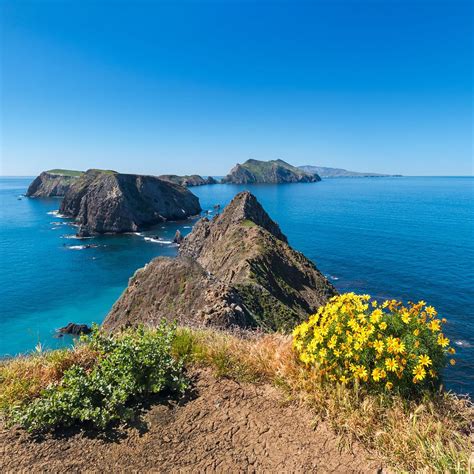 channel islands national park  complete guide  californias