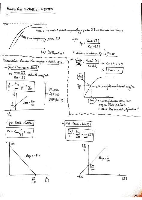 Solution Enzyme And Kinetics Reacrion Chemical Cheatsheet Studypool