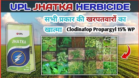 upl Jhatka herbicide Clodinafop Propargyl 15 WP पर जनकर हद