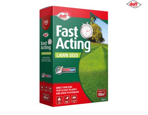 Fast Growing Lawn Seed