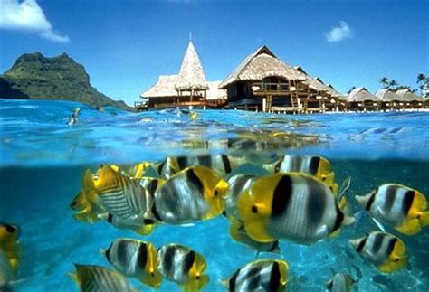 Honeymoon Hot Spot :: Bora Bora Lagoon Resort & Spa – bubbly bride