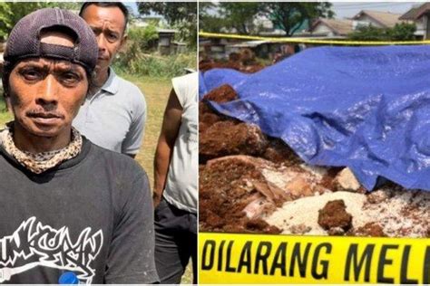 Awalnya Hanya Gali Tanah Untuk Septic Tank Pria Ini Kaget Tak Kepalang