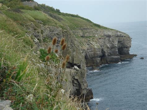 Durlston Head | Limestone cliffs at Durlston Head - site of … | Flickr