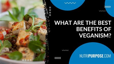 What Are the Best Benefits of Veganism? - Nutripurpose - YouTube