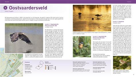 De Beste Vogelgebieden Van Nederland 600 Locaties Om Vogels Te Kijken