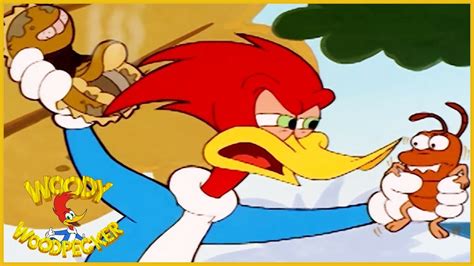 Woody Woodpecker Woody And The Termite Kids Videos Woody Woodpecker