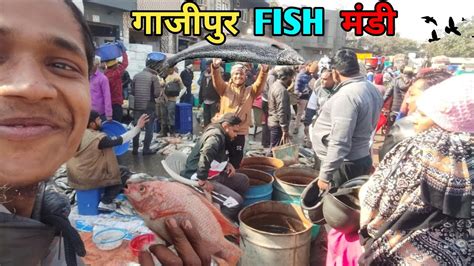 Ghazipur Fish Mandi Delhi Today Price 2024 Ghazipur Machli Mandi