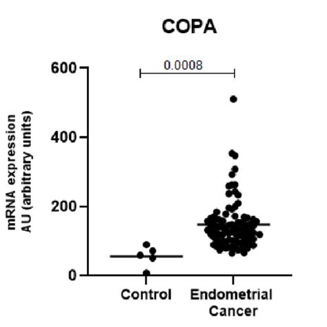 KCNAB3 Is Expressed At Significantly Lower Levels In The Endometrial