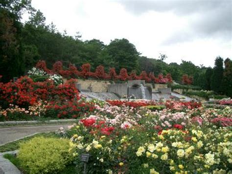 【播磨中央公園】アクセス・営業時間・料金情報 じゃらんnet