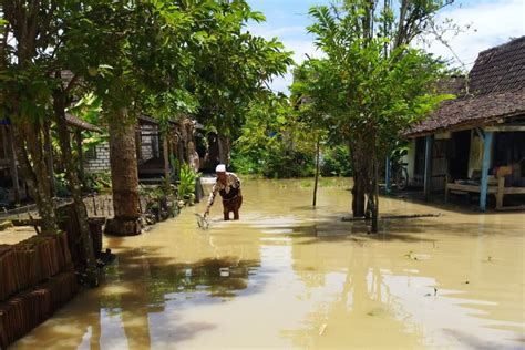 Bengawan Njero Dan Bengawan Solo Meluap 4 315 Rumah Di Lamongan