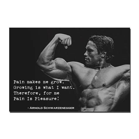 Arnold Schwarzenegger Bodybuilding Poster Motivational Quotes Fitness Art Print Ebay