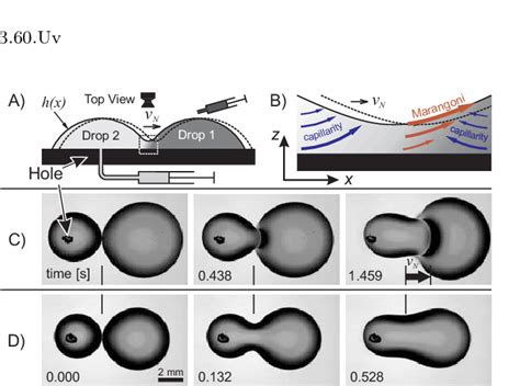 A Schematics Of The Experimental Setupprocedure B Flow Scheme Of