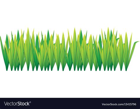 Lime Green Grass With Leaves Icon Royalty Free Vector Image