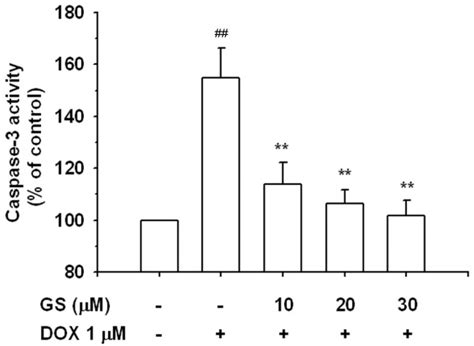 Effects Of Gs On Dox Induced Apoptosis Using Caspase 3 Activity Assay