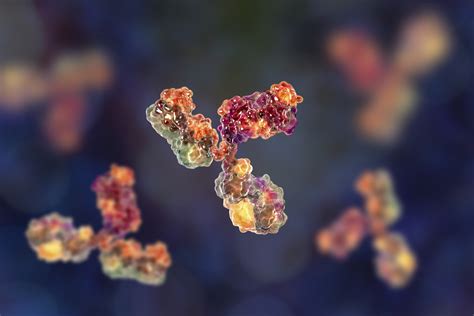 Are Monoclonal Antibodies the Future of COVID-19 Treatment?