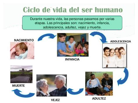 Ciclo De Vida Del Ser Humano Ciclo De Vida Ciclos De Vida Ser Humano Vida Humana