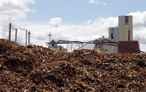 Biomass Energy Plants Losing In Competition With Solar, As Farmers Worry Of Climbing Costs | IBTimes