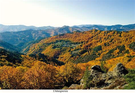 Les Grands Paysages Cévenols Parc National Des Cévennes