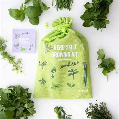 Herb Seed Grow Kit – Scott & Co. Seeds